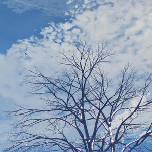 (总攻)帝皇的播种计划小说
