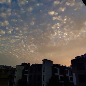 (总攻)帝皇的播种计划小说
