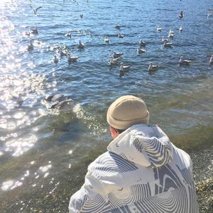 (总攻)帝皇的播种计划小说
