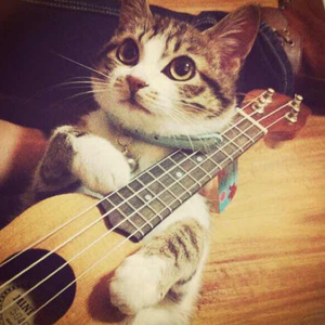 (总攻)帝皇的播种计划小说
