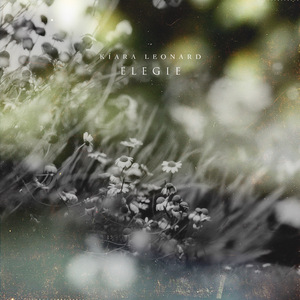 (总攻)帝皇的播种计划小说
